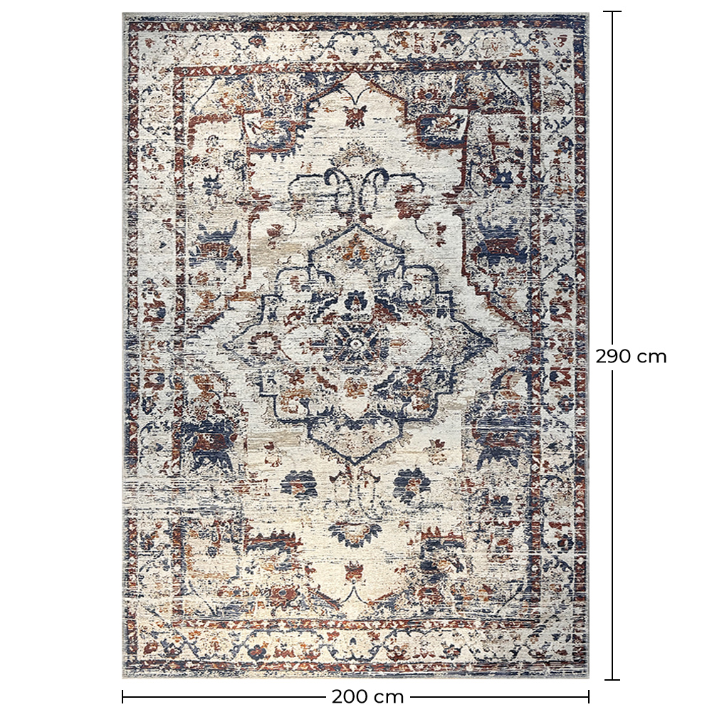 Tapis Oriental Vintage - (290x200 cm) - Safyh image 10