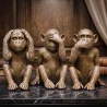 Figurines Décoratives Design - Singes - Sapiens image 7