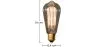 Ampoule Edison Vintage - Squirrel image 7