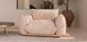 Fauteuil - Revêtement en velours - Wers image 7