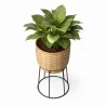 Pot de Sol Rond - Style Boho - Aventura image 7