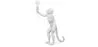 Lampe de Table - Lampe de Salon Singe -  Resina image 7