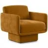  Fauteuil Rembourré en Velours - Jackson image 9