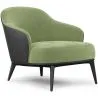 Fauteuil Tapissé en Velours - Luc image 9