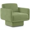  Fauteuil Rembourré en Velours - Jackson image 9