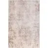 Tapis Oriental Vintage - (300x400 cm) - Alizarin image 9