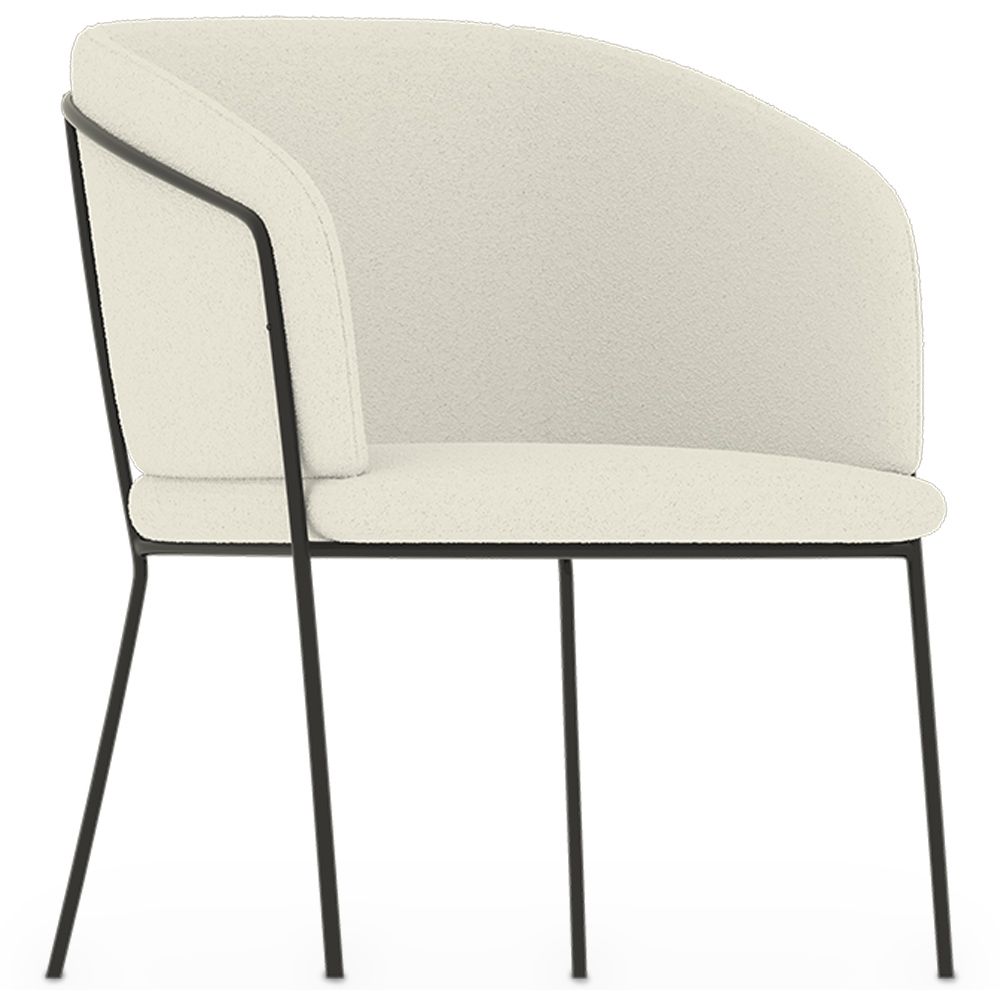 Fauteuil avec accoudoirs En Bouclette Fausse Fourrure Tapissée - Boucles Blanches - Miusen image 8