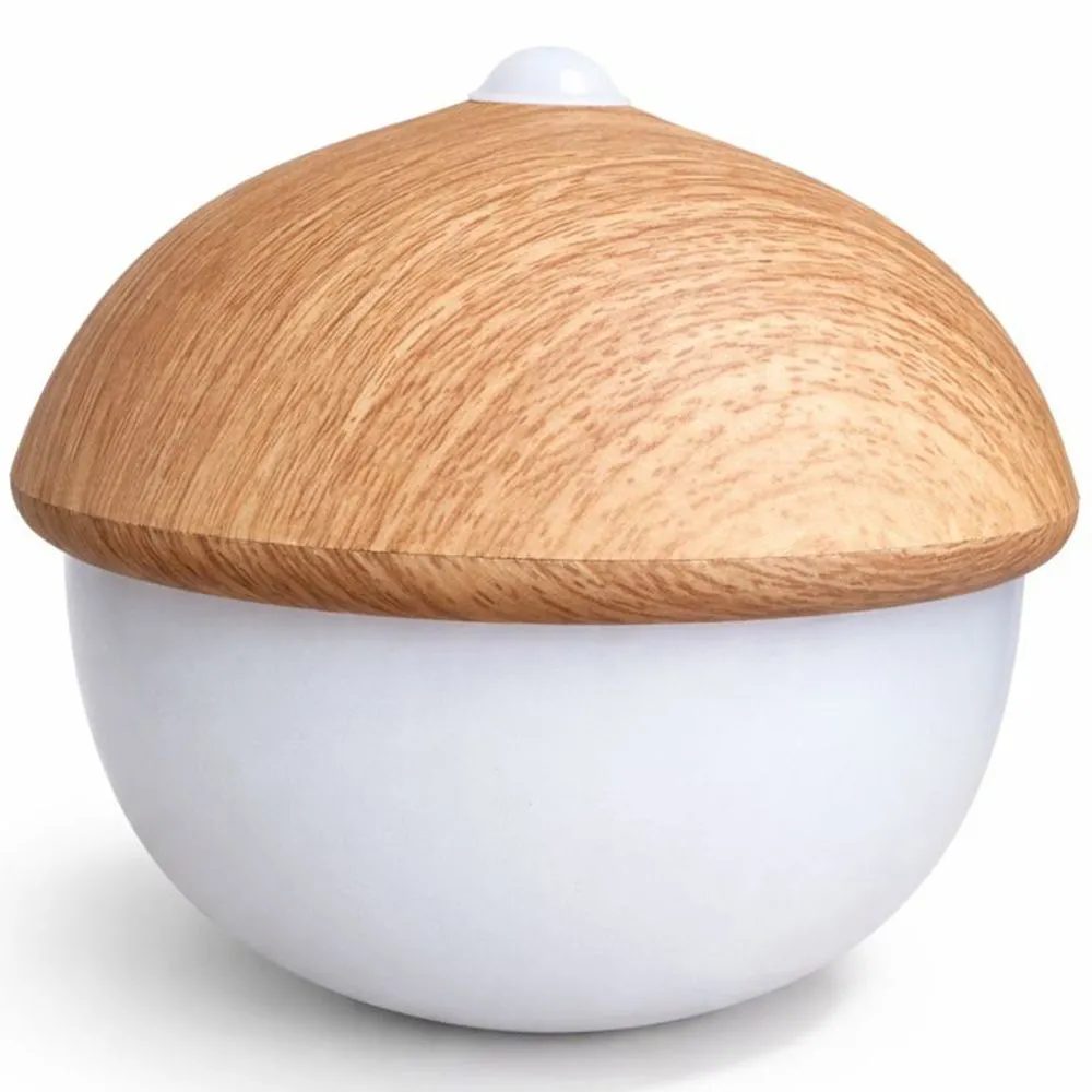 Lampe de Table USB Rechargeable LED avec Capteur Tactile – Lumière Chaude – Gland image 8