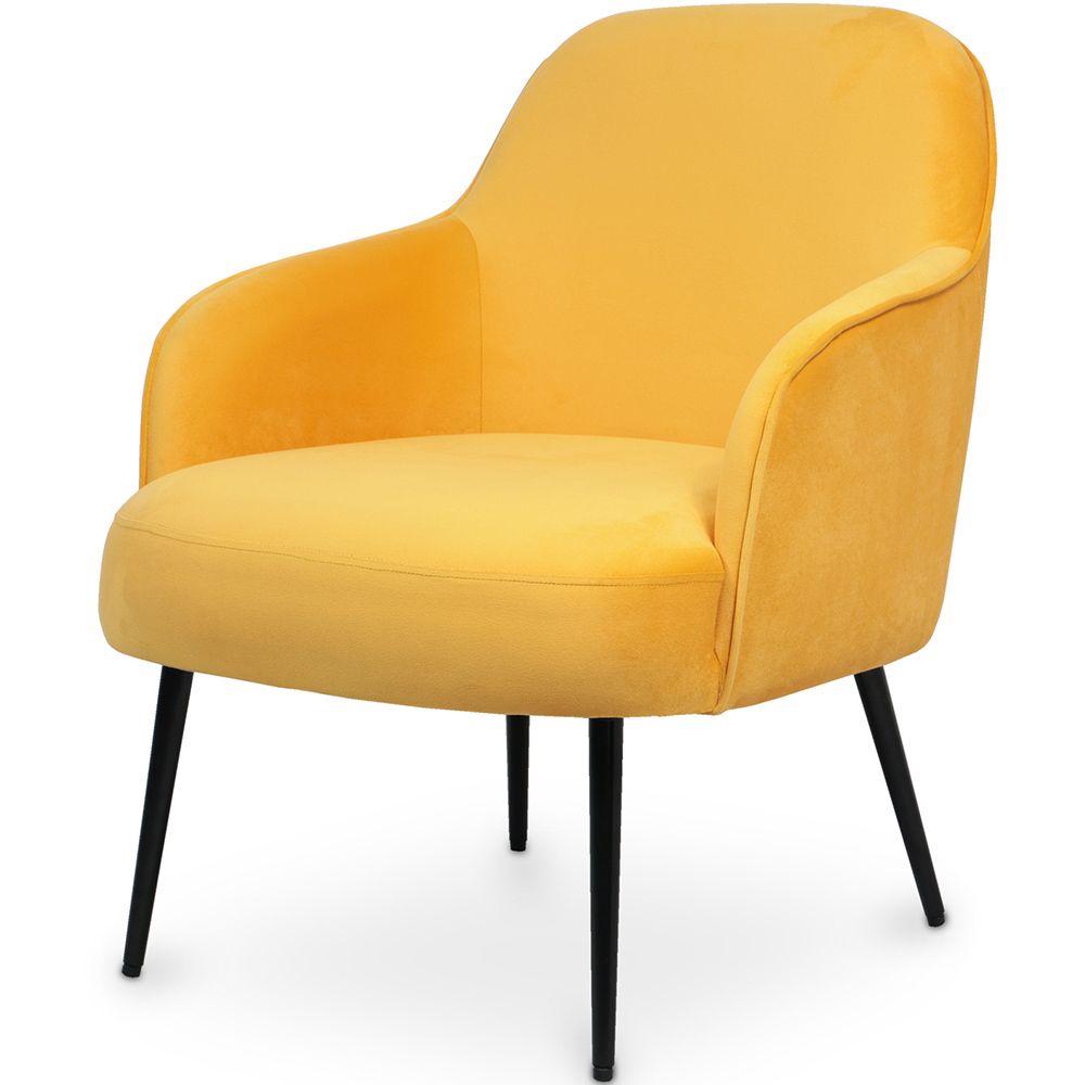 Fauteuil tapissé de velours - Hyra image 8
