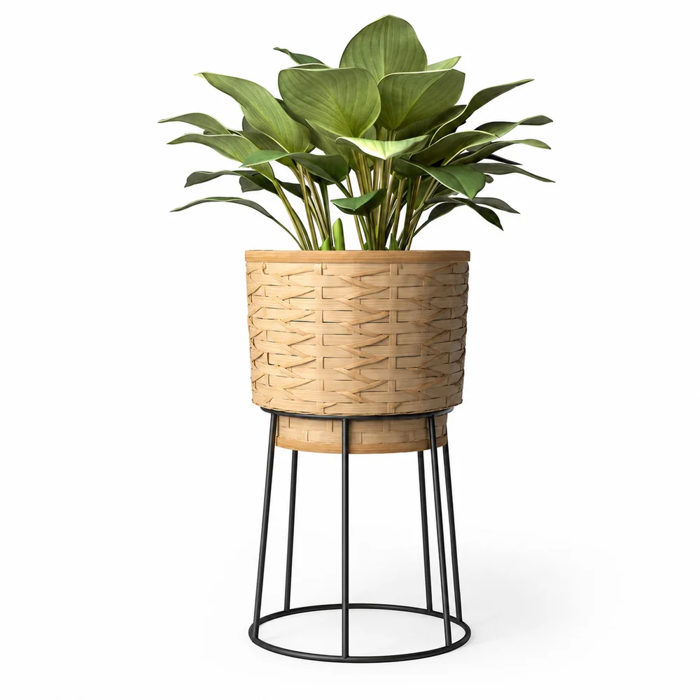 Pot de Sol Rond - Style Boho - Aventura image 8