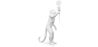 Lampe de Table - Lampe de Salon Singe -  Resina image 7